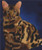 Bengal Cat Cross Stitch Pattern / Stitchx Craft Designs