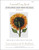 Sunflower Seen From The Back / The Art Of Stitch