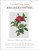 Rosa Gallica Pontiana / The Art Of Stitch