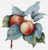 Apricots / The Art Of Stitch