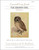 The Brown Owl / The Art Of Stitch
