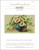 Daisies / The Art Of Stitch