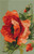 Poppies / The Art Of Stitch