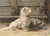 West Highland Terrier (Mini Chart) / The Art Of Stitch