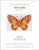 Butterfly Series: The Flame / The Art Of Stitch