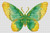 Butterfly Series: The Dew / The Art Of Stitch