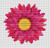 Flower Series: Pink Gerbera / The Art Of Stitch