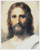 Jesus / The Art Of Stitch