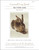 The Young Hare (Mini Chart) / The Art Of Stitch