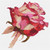 Red Rose / The Art Of Stitch