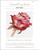 Red Rose / The Art Of Stitch