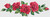 Red Roses / The Art Of Stitch
