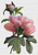 Flowers (Redou07) / The Art Of Stitch