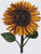 Sunflower / The Art Of Stitch
