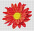 Flower Series: Red Gerbera / The Art Of Stitch