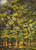 Landscape In Falaise / The Art Of Stitch