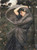 Boreas / The Art Of Stitch