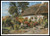 A Cottage Garden With Chickens - #11532 / The Prairie Schooler