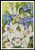 A Blue And White Mix - #14076 - Artl / The Prairie Schooler