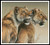 Abosisi (Sisters) - #13358 - Fc / The Proper Stitcher