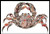 Abstract Crab - #13644 / The Proper Stitcher