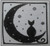 Star Gazing / The Stitcherhood