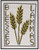 Sabbat – Lammas – Loaf Mass Day / The Stitcherhood