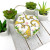 Giraffe Biscornu / Tiny Modernist Inc