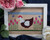 Spring Chicken / Vintage Needlearts