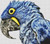 Blue Parrot 2 / White Willow Stitching