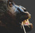 Gorilla / White Willow Stitching