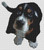 Basset Hound Puppy / White Willow Stitching