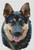 German Shepherd - Determination / White Willow Stitching