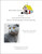 Grey Scottish Fold / White Willow Stitching