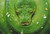Green Tree Python / White Willow Stitching