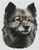 Keeshond / White Willow Stitching