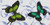 Butterflies / White Willow Stitching