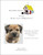 Border Terrier 2 / White Willow Stitching