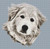 Great Pyrenees / White Willow Stitching