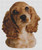 Cocker Spaniel Puppy / White Willow Stitching