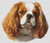Blenheim Cavalier King Charles Spaniel 2 / White Willow Stitching