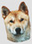 Akita / White Willow Stitching