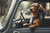 Going For A Ride - Dachshund / White Willow Stitching