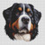 Bernese Mountain Dog 3 / White Willow Stitching