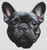 Black French Bulldog / White Willow Stitching