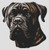 Brindle English Mastiff / White Willow Stitching