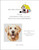 Golden Retriever Smile / White Willow Stitching
