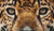 Jaguar Eyes / White Willow Stitching