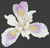 Beautiful Iris / White Willow Stitching