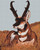 Antelope / White Willow Stitching